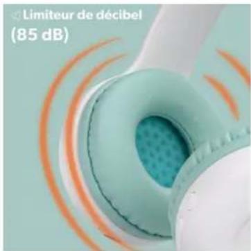 Limiteur de décibel (85 dB)