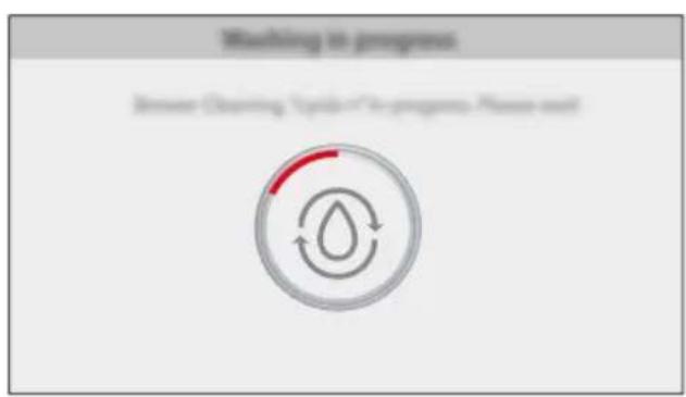 Washing in programs Answer Cleaning System in the program Please wait