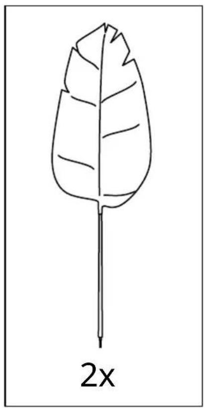 Simple line drawing of a leaf with a stem and label '2x' below (no text or symbols on the leaf itself)