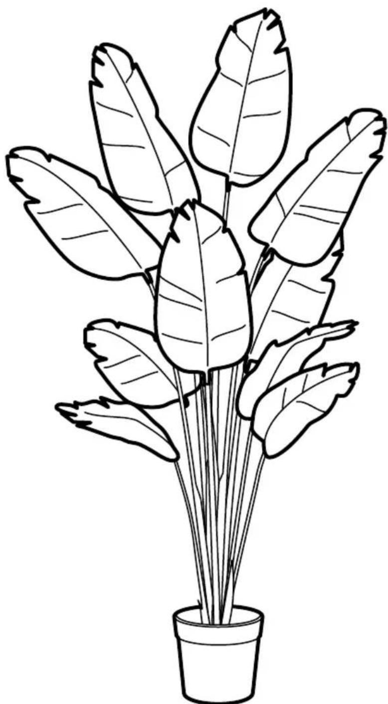 Line drawing of a potted plant with large leaf-like leaves (no text or symbols)