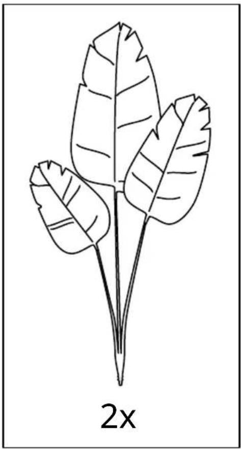 Line drawing of a three-leaf clover plant with labeled '2x' (no other text or symbols)