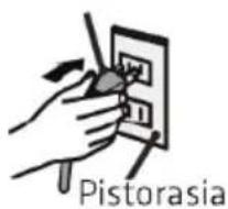 Pistorasia