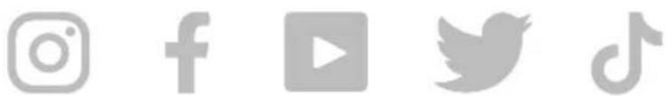Row of five gray social media and video platform icons: Instagram, Facebook, YouTube, Twitter, and TikTok (no text or symbols beyond logos)