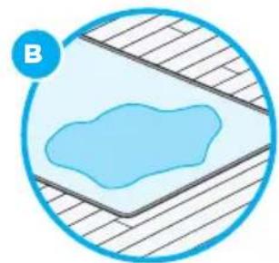 Simple circular diagram with a blue irregular shape inside a layered structure, no text or symbols present.