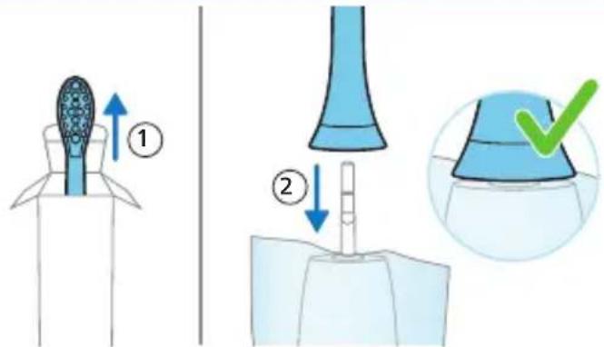 Diagram illustrating a medical procedure with labeled steps and instructions, including an anatomical diagram and a checkmark.