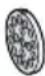 BOSCH Serie 4 MFWS430 - Dischi forati - 3
