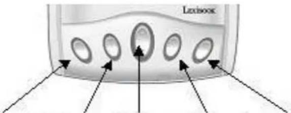 Lxisox