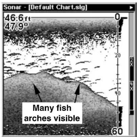 Sonar - [Default Chart.sg] 46.6 ft 47.9° Many fish arches visible