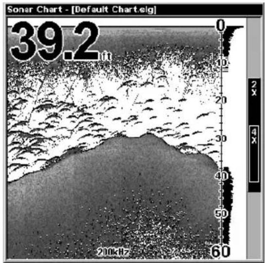 Sonar Chart - [Default Chart.eig] 39.2 in 0 10 20 30 40 50 60 200kHz 200x 4x