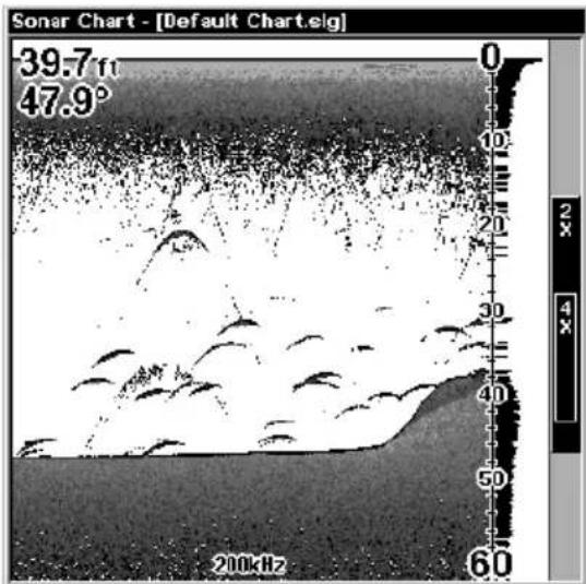 Sonar Chart - [Default Chart.elg] 39.7 47.9° 200kHz