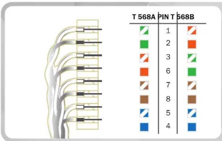 | Label | Color | |---|---| | T 568A | Green | | PIN T | Orange | | 568B | Blue |