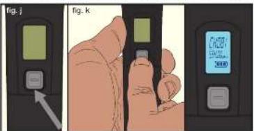 fig. j fig. k Cathol Cathol Cathol