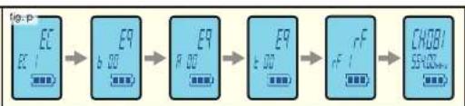 graph LR A["EC"] --> B["ER"] B --> C["ER"] C --> D["ER"] D --> E["nF"] E --> F["CHOB1"]