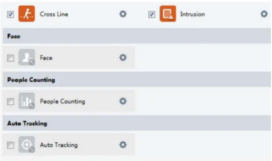 Cross Line Intrusion Face Face People Counting People Counting Auto Tracking Auto Tracking