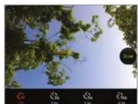 Tree branches against a clear blue sky, no visible text or symbols