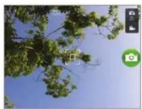 Tree branches against a clear blue sky, with a green circular icon in the corner (no text or symbols visible)