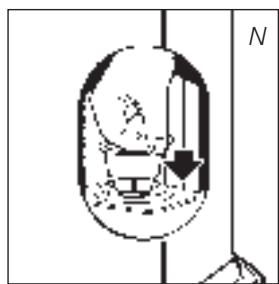 N