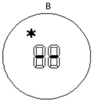 B 8 8