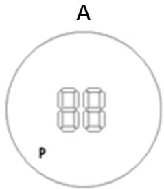 A 88 P