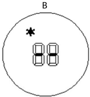 B 8 8