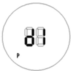 88 P