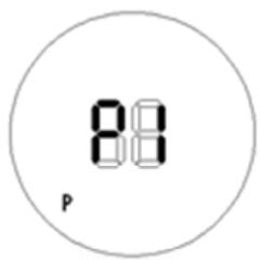 88 P