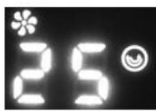 Eurom Complete Room Heater 3000 - Bediening met afstandsbediening - 2