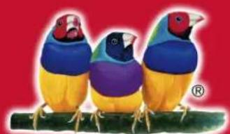 Three colorful bird illustrations perched on a branch against a red background (no text or symbols)