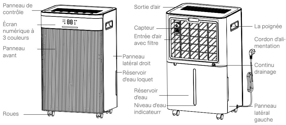 MILL MDH20 - VUE DU PRODUIT MDH12 - 2