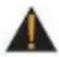 True Emerge LED - CHAPTER 1: SAFETY INSTRUCTIONS - 1