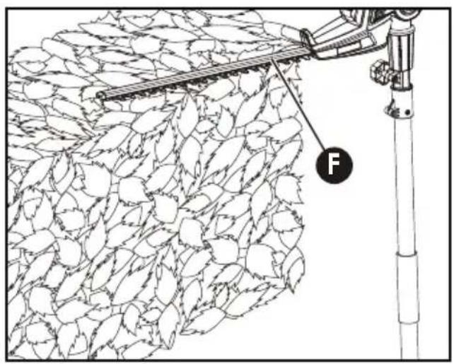 Technical diagram showing a mechanical device interacting with a dense field of leaf-like structures, labeled with 'F' pointing to the component.