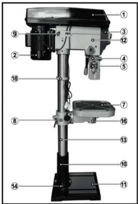 Labeled diagram of a drill press with numbered parts for identification