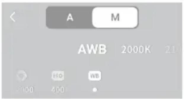 A M AWB 2000K 210 ISO WB 2100 400