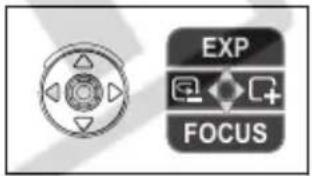 EXP FOCUS