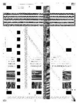 Scanned document page with dense text and a vertical banner, likely a form or official record.