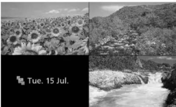 Black-and-white collage showing sunflowers in a field, a rocky stream with water, and a forested hillside (no text or symbols)