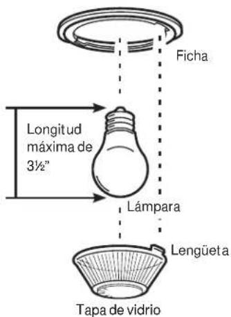 Ficha Longitud máxima de 3½" Lámpara Lengüeta Tapa de vidrio