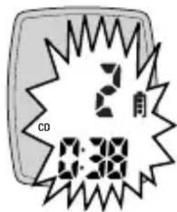 CD 2