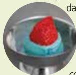 STEBA EIS Rezeptheft - INGREDIENTS - 1