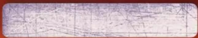 Scanned document with faint handwritten Chinese text and red border, likely a form or official record