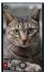 SHARP Aquos Phone Xx 206SH - 2 - 2