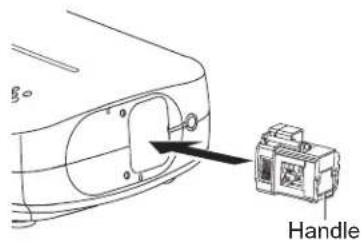 Handle