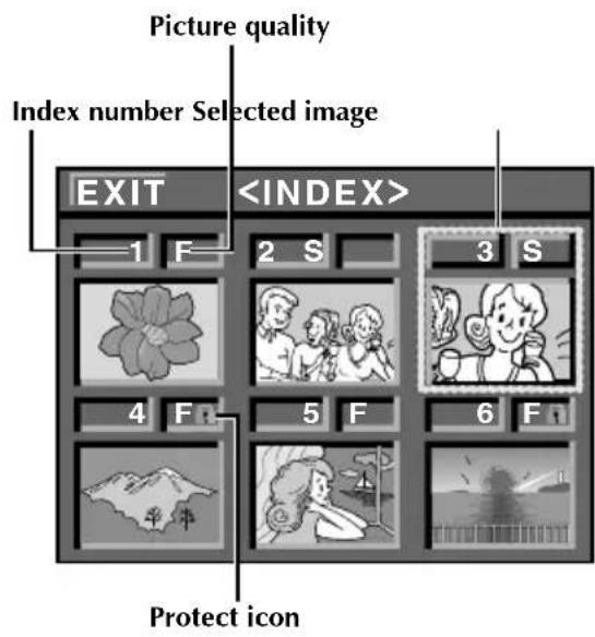 Picture quality Index number Selected image EXIT 1 F 2 S 3 S 4 F 5 F 6 F Protect icon