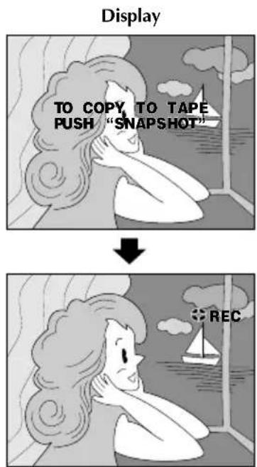 Display TO COPY TO TAPE PUSH "SNAPSHOT" REC