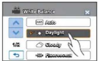 White Balance Auto Daylight Cloudy Fluorescent