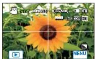 Sunflower photo with green foliage and a camera interface overlay (no readable text or symbols in the flower image)