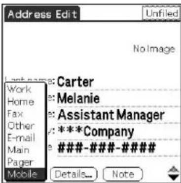 Address Edit Unfiled No Image Work Home Fax Other E-mail Main Pager Mobile Carter Melanie Assistant Manager : ***Company ###-###-### Details... Note