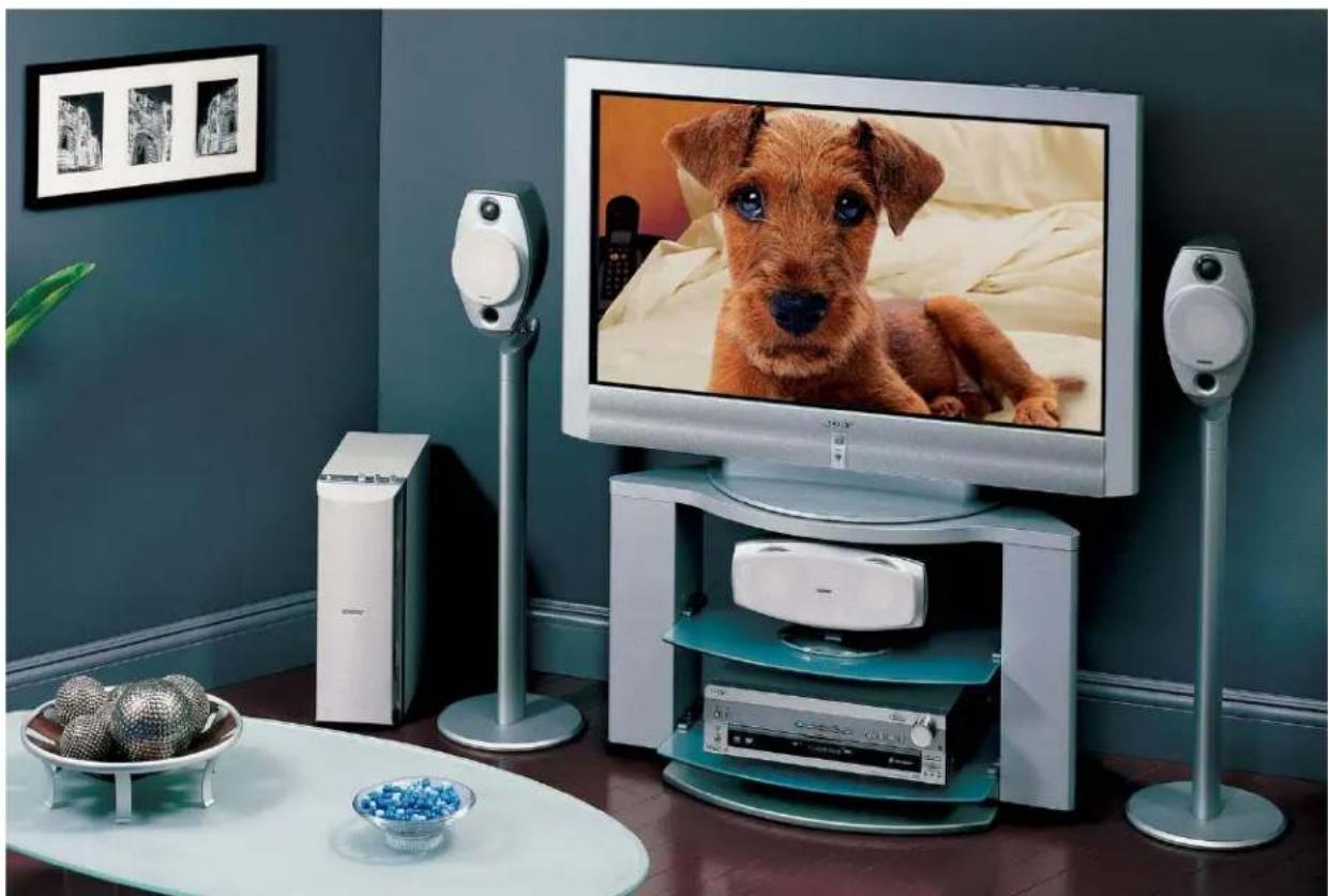 Modern home TV setup with a dog on a screen, speakers, and a coffee table (no visible text or symbols)