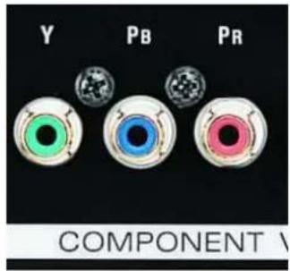 Y Pb Pr COMPONENT