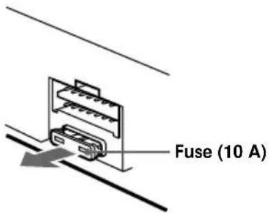 Fuse (10 A)